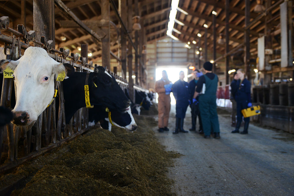 Dr. Brian Shoemake shows his students the inside of the barn